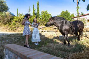 Clase de cocina en una granja tradicional toscana