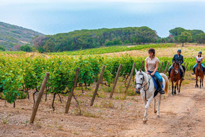Chianti : équitation et dégustation de vin, visite privée exclusive