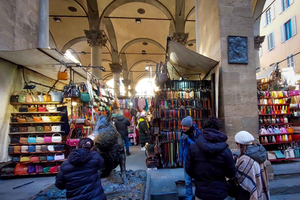 Florence: City guided walking tour