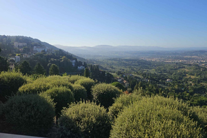 Florence: Electric Tuk-Tuk or Golf Cart City Tour