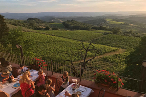 Florence : excursion privée d'une journée dans un domaine viticole du Chianti en Toscane avec déjeuner