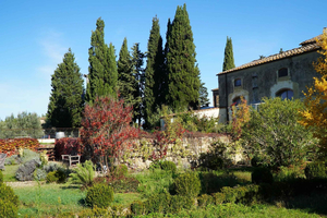 Florence: Wine Tour with Cheese Tasting & Lunch at Butcher