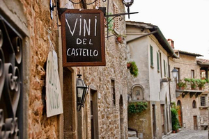 From Florence: Chianti Wine Tour with Driver-Guide