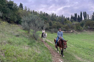 From Florence - Private Horseback Ride, Truffle Hunt, & Lunch