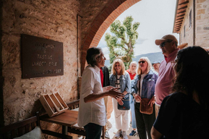 Au départ de Florence : excursion d'une journée en Toscane avec vin et déjeuner