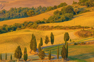 Ab Florenz: Val d'Orcia-Tagestour mit Mittagessen