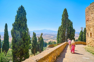 Depuis Florence : Visite du Val d'Orcia avec dégustation de vins