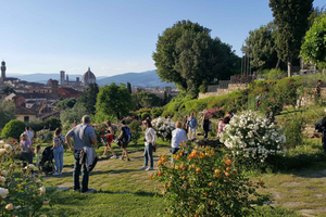 Full Day Guided Sightseeing Walking Tour