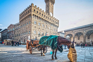 Florence : visite guidée à pied de la ville et de la galleria dell'Academia avec le David