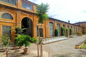 Florenz: Museumsführung im Naturhistorischen Museum mit Gelato-Pause