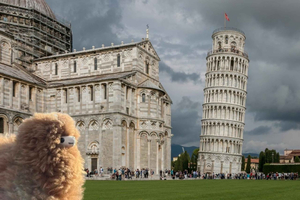 Pisa Private Half-Day Tour from Florence