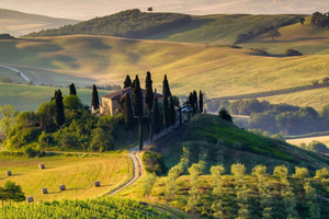 ROMANTISK VINTUR FOR 2 - Vintur i Chianti (Toscana)