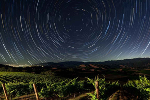 La noche de las estrellas fugaces en Tenuta Torciano