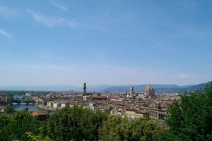 Visite artistique ultime de Florence : galerie des Offices et Académie
