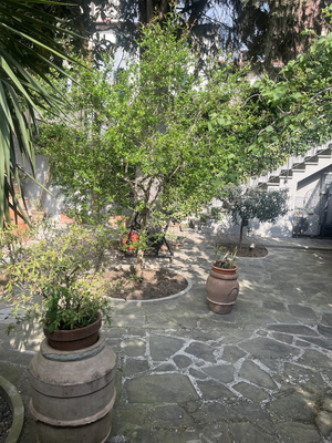 Casa di Marte