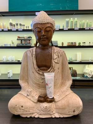 Florence Wellness Center | Beleza and Natureza