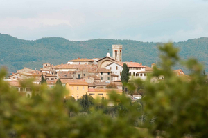 Från Florens: Chianti Hills vingårdar tur med provsmakning