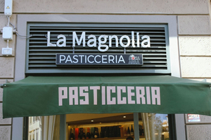 La Magnolia