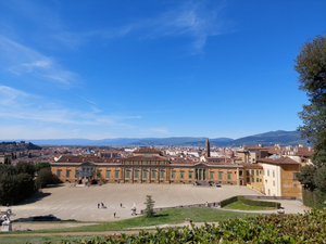 Palazzo Pitti & Boboli Comfortable Apartment
