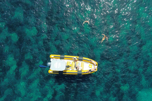Cagnes: Snorkling och naturskönt badstopp till Cap d'Antibes