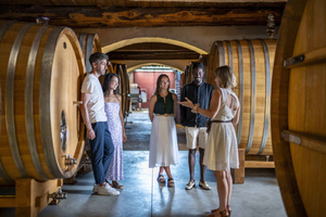 Cannes: Provence Wein Tour - private Tour ab Cannes