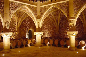 French Riviera: Provencal Wine Tour