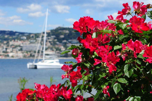 Von Cannes aus: Landausflug nach Grasse, Antibes, St. PauldeVence