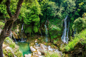 Von Nizza aus: Blumenfelder und Saint Cassien See Ganztagesausflug