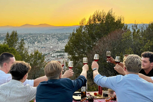 Nice: Sunset & Wine Tasting in Defender with Panoramic Views