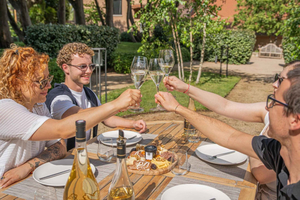 Saint-Tropez: Private Day with Exclusive Winery Experience