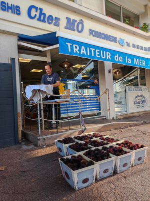Chez Mo - Albert 1Er