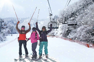 Von Cannes oder Nizza aus: Tages-Ski-Ausflug in die Alpen