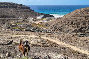 Caleta de Fuste: Off the beaten track Private Tour