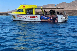 First-Time Boat Diving Experience - Introduction to Diving