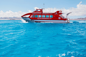 From Caleta de Fuste: Return Bus and Ferry to Lobos Island