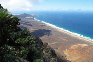 Fuerteventura: Pico de la Zarza Tour