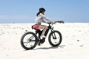 Lanzarote: Advanced 5-Hour Fuerteventura E-Bike Tour
