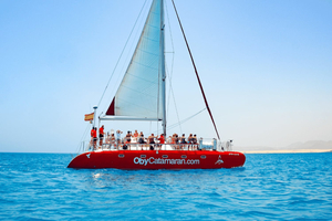 Lobos Island: 4-Hour Catamaran Trip with Lunch