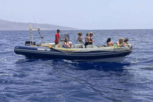 Morro Jable: Speedboat Dolphin & Whale Watching Tour
