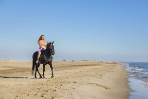 Secret Beach Horse Ride for experienced Rider