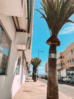 Corralejo Coliving by Amazzzing Travel