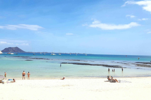Fuerteventura: Guided Panorama Island Tour