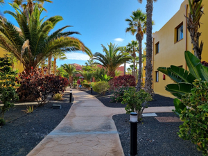 Oasis Tamarindo
