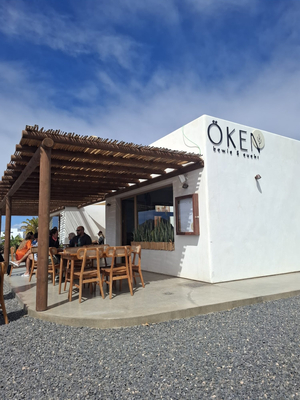 ÖKEN bowls & sushi