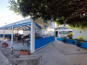 Terraza del gato