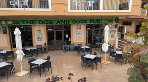 The Dog and Duck Pub