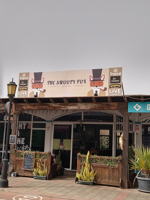The Snooty Fox