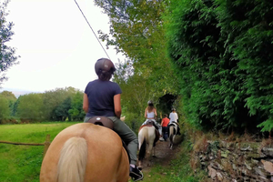A Coruña: Countryside Horseback Ride, 1 Hour