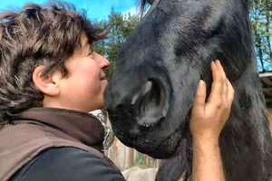 A Coruña: Møte med en flokk ville hester i Galicia i en liten gruppe