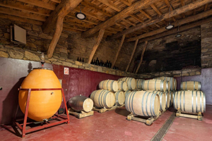Entdecke die Ribeira Sacra mit einem einzigartigen Weinerlebnis!